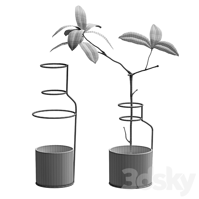 Plant in wire pots 3DSMax File - thumbnail 2