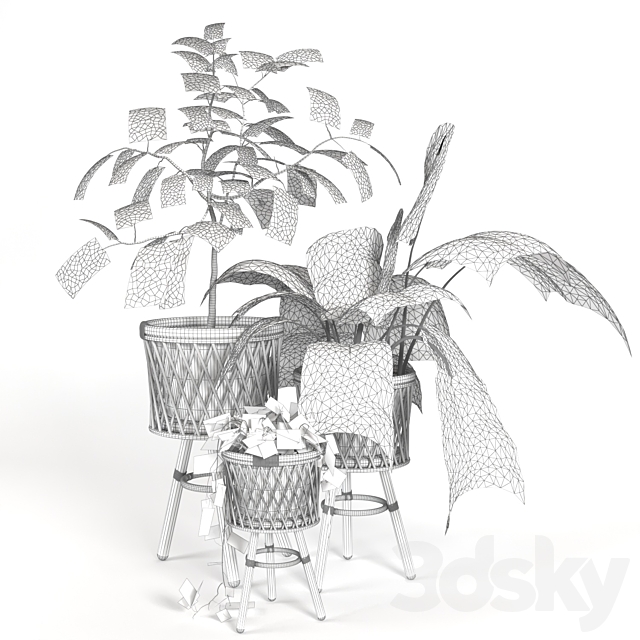 plant indoor 02 3DS Max Model - thumbnail 2