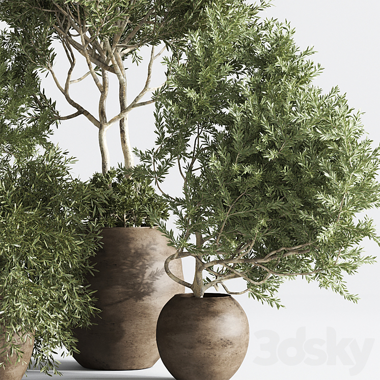 plant indoor015 3DS Max Model - thumbnail 2