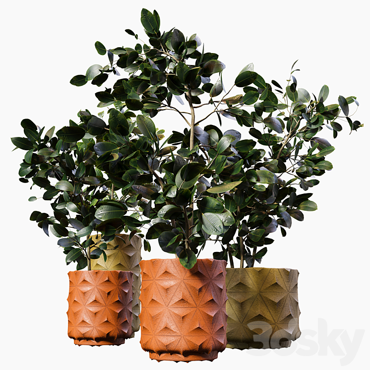 Plant-pot06 3DS Max - thumbnail 1