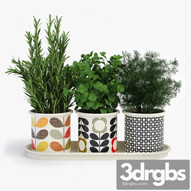 Plant Potted plants orla kiely herb pots - thumbnail 1