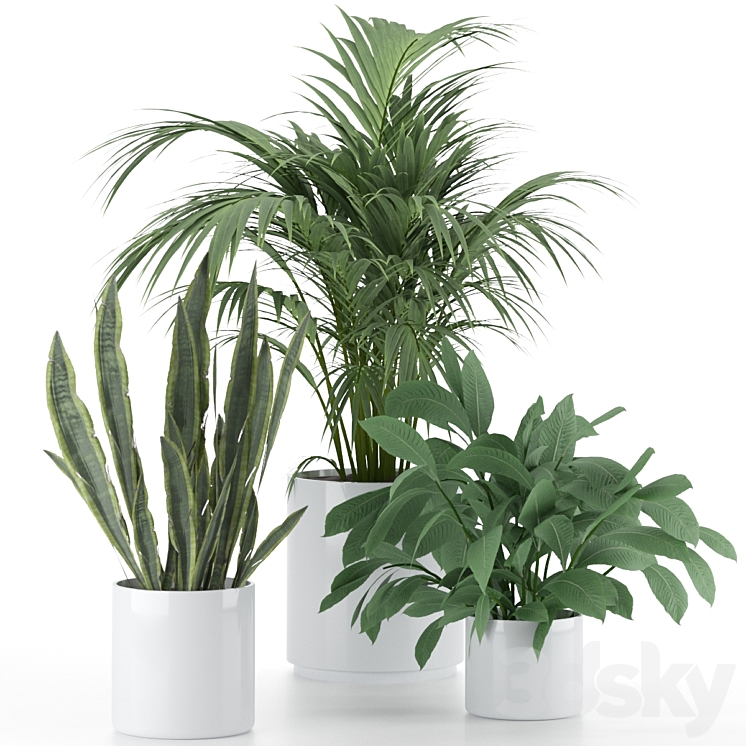 Plant-Set-001 3DS Max - thumbnail 1