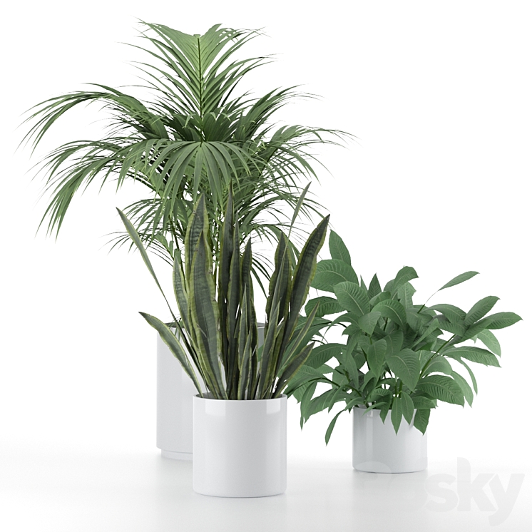 Plant-Set-001 3DS Max - thumbnail 2