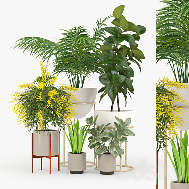 Plant Set 01 3DSMax File - thumbnail 1