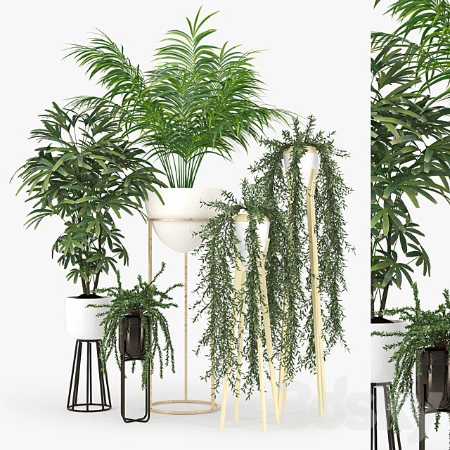 Plant Set 02 3DSMax File - thumbnail 1