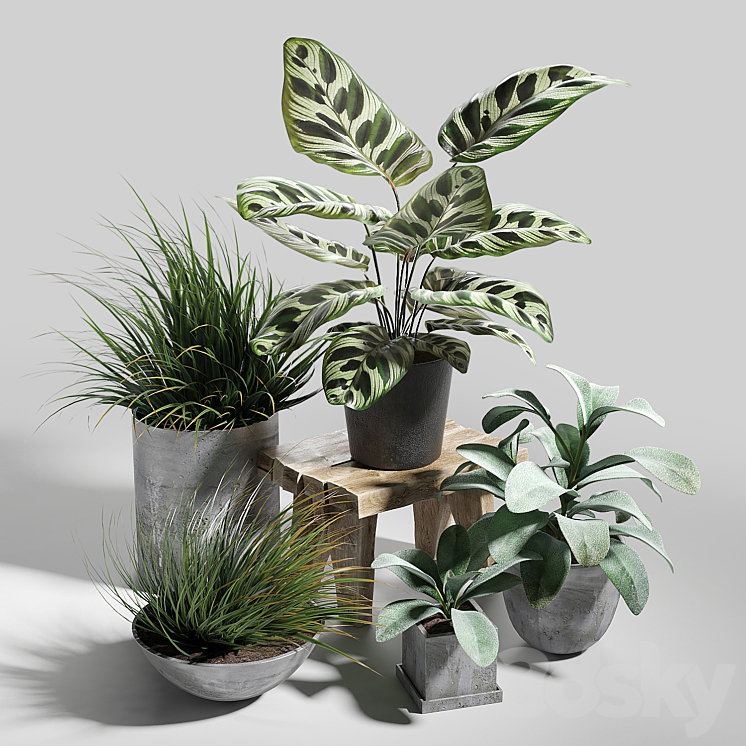 Plant set 03 3DS Max - thumbnail 1