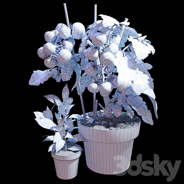 Plant set 06 3DSMax File - thumbnail 3