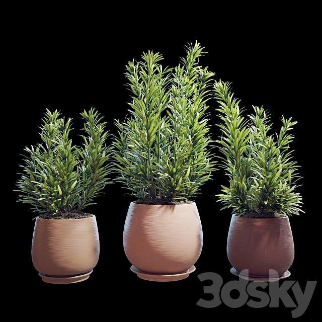 Plant set 07 3DSMax File - thumbnail 1