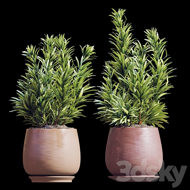 Plant set 07 3DSMax File - thumbnail 2