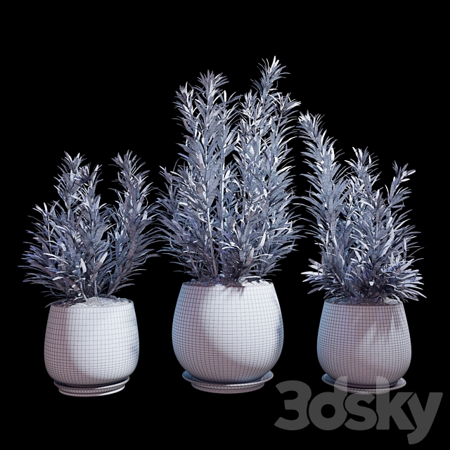 Plant set 07 3DSMax File - thumbnail 3