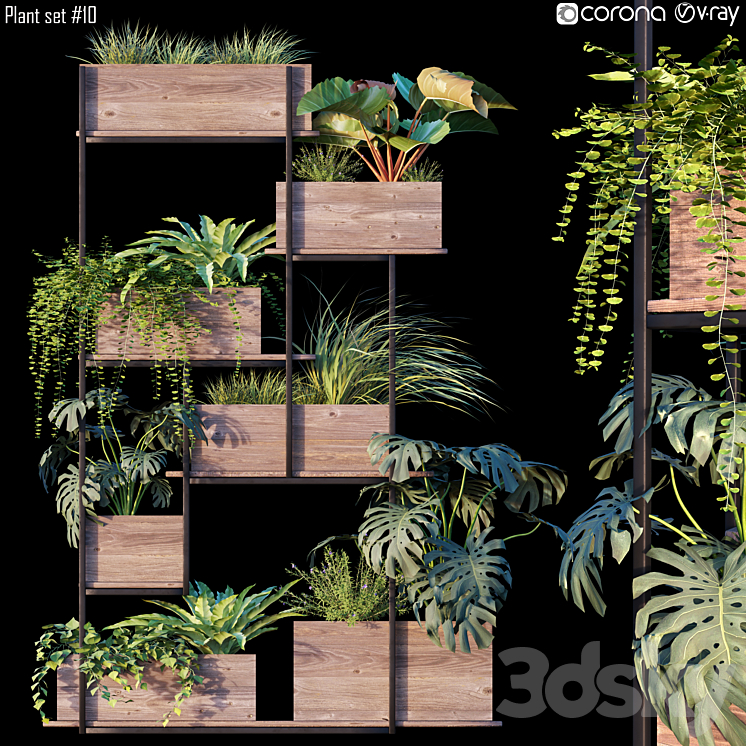 Plant set # 10 3DS Max - thumbnail 1