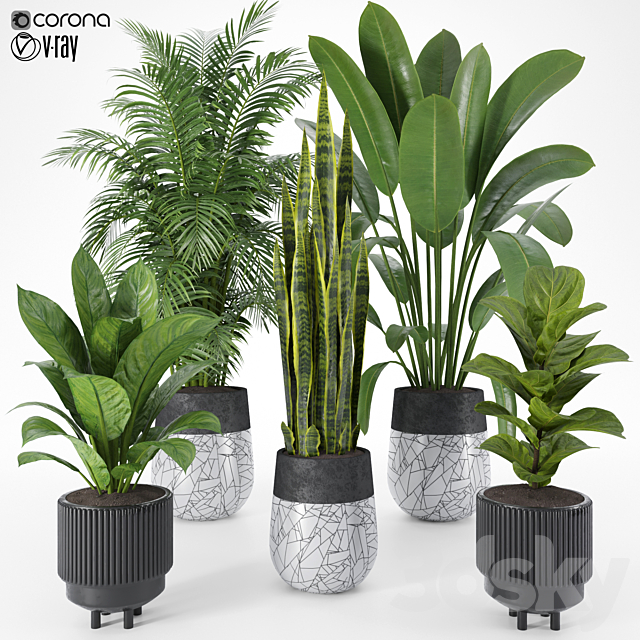 Plant Set 10 3ds Max - thumbnail 1