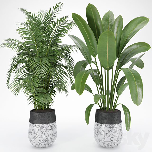 Plant Set 10 3ds Max - thumbnail 2