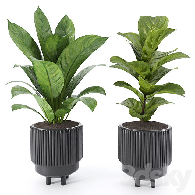 Plant Set 10 3ds Max - thumbnail 3