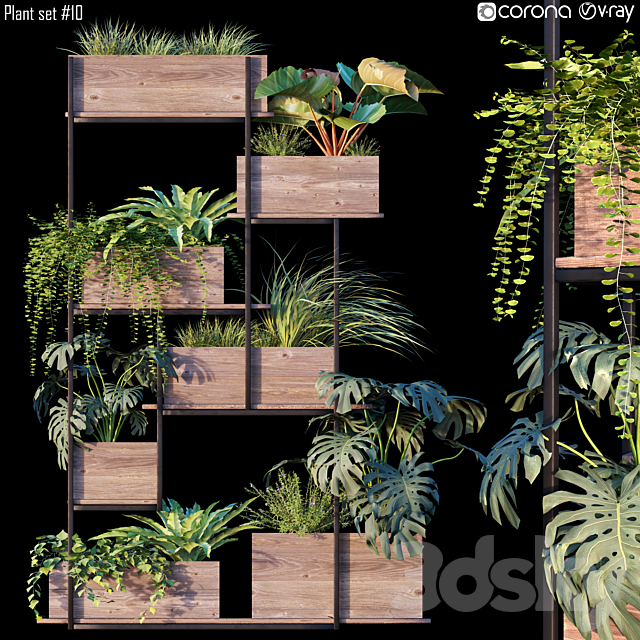 Plant set # 10 3DSMax File - thumbnail 1