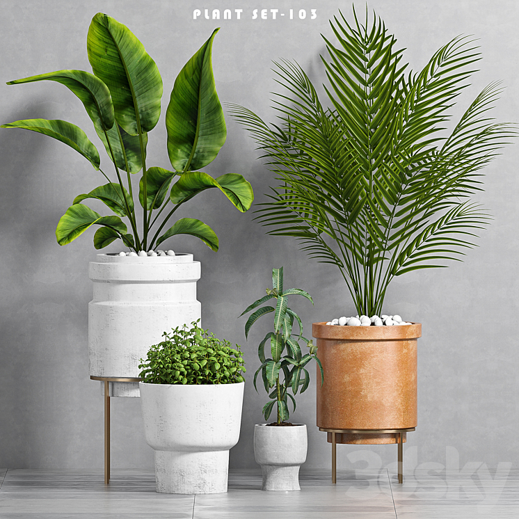 PLANT SET -103 3DS Max - thumbnail 1