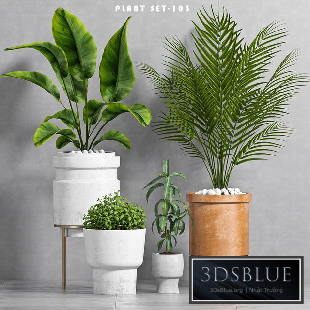 PLANT SET -103 3DS Max - thumbnail 3