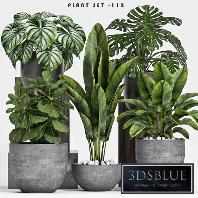 plant set-112 3DS Max - thumbnail 3