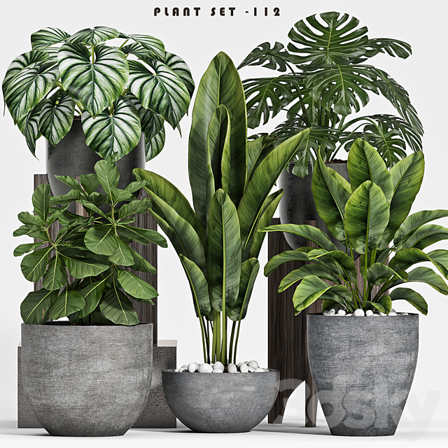 plant set-112 3DSMax File - thumbnail 1