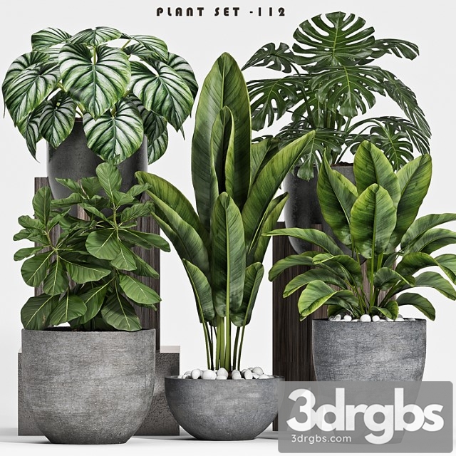 Plant set-112 - thumbnail 1