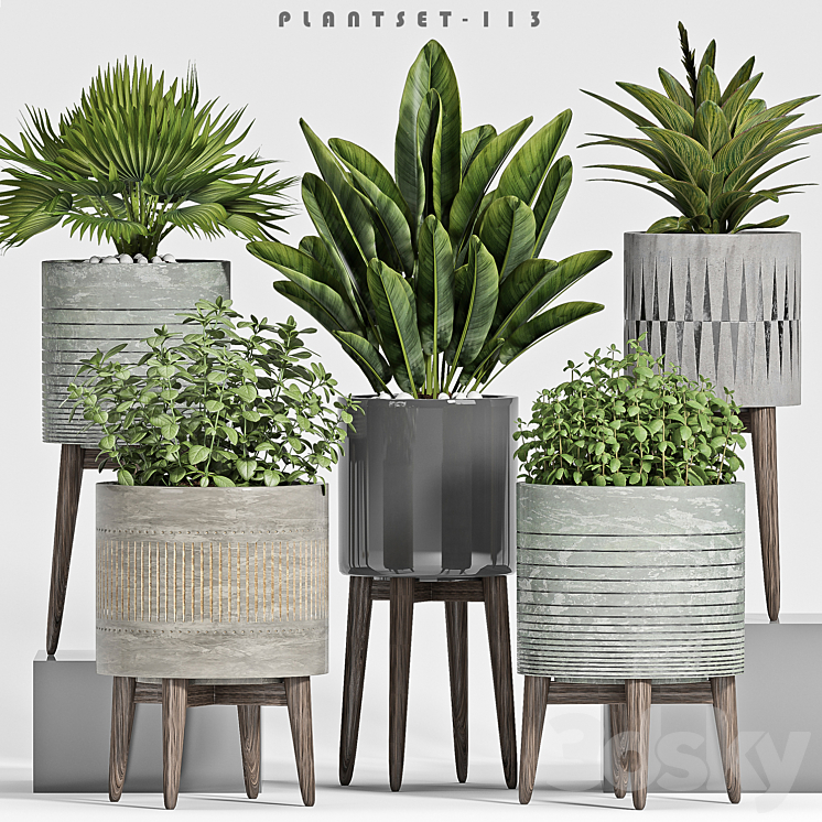 plant set-113 3DS Max - thumbnail 1