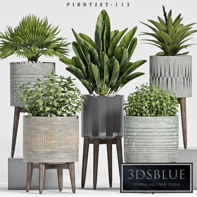 plant set-113 3DS Max - thumbnail 3