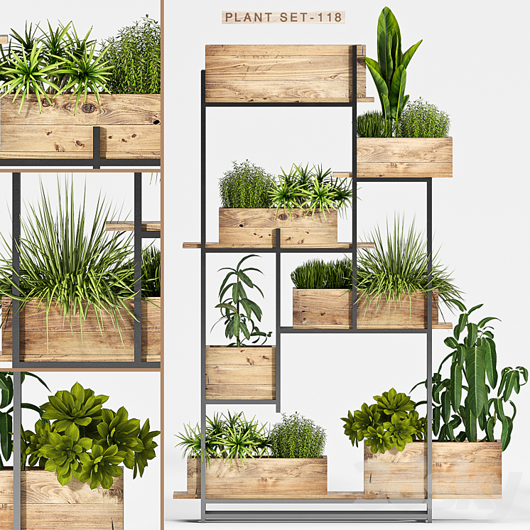 Plant set-118 3DS Max - thumbnail 1