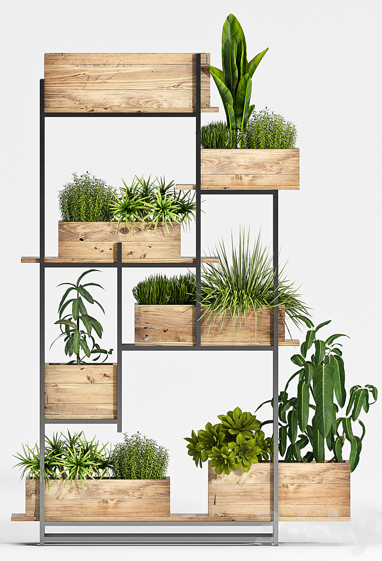 Plant set-118 3DS Max - thumbnail 2