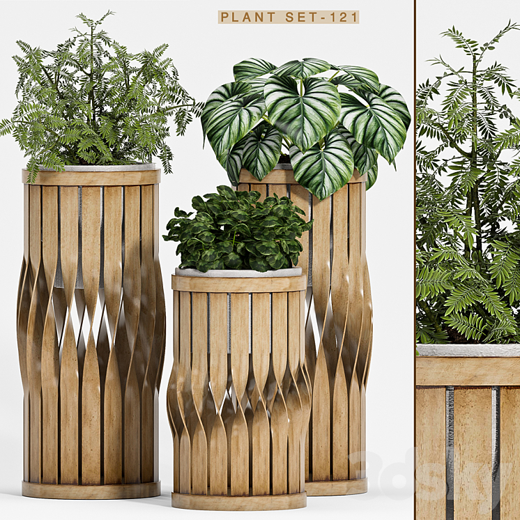 Plant set-121 3DS Max - thumbnail 1