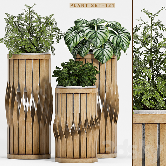 Plant set-121 3DSMax File - thumbnail 1