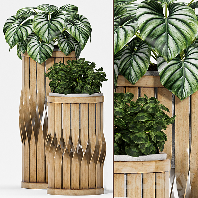 Plant set-121 3DSMax File - thumbnail 2