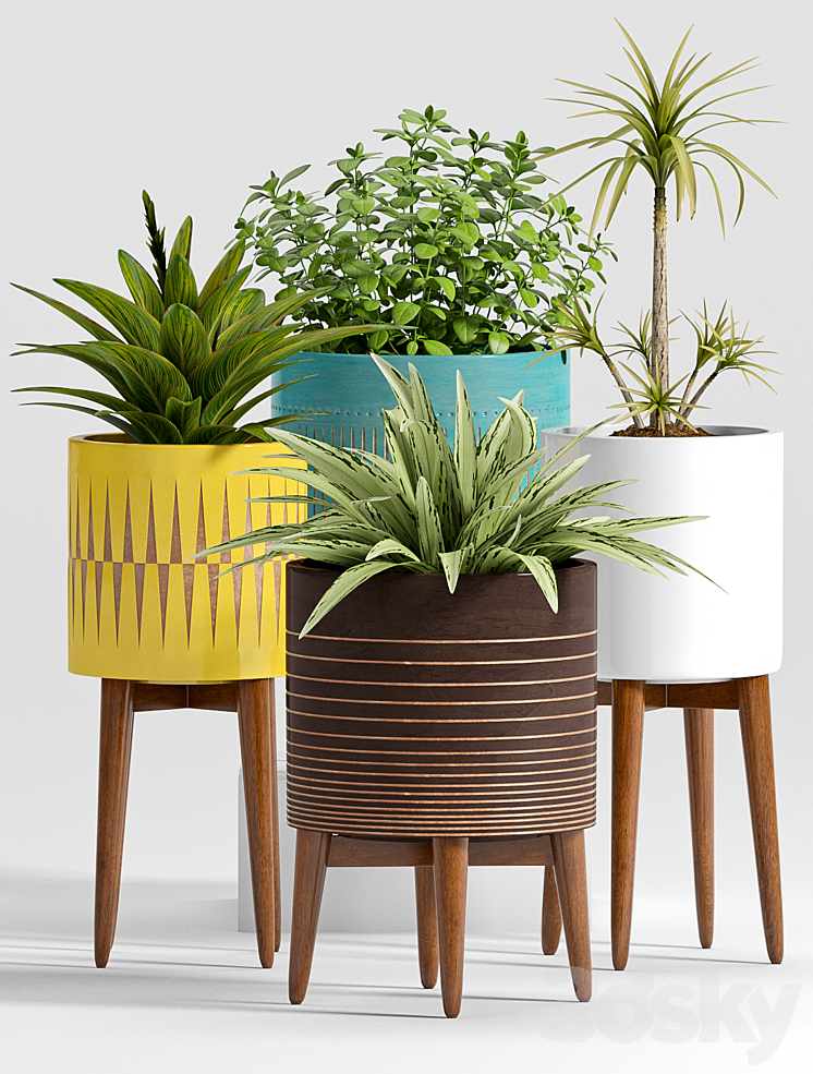 Plant Set -24 3DS Max - thumbnail 2