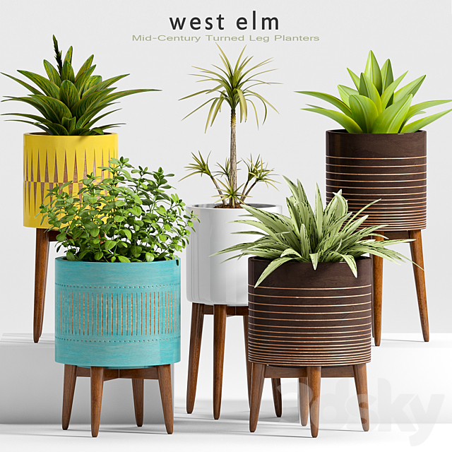 Plant Set -24 3DSMax File - thumbnail 1