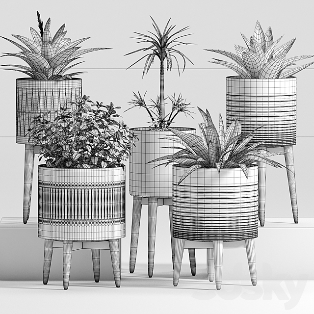 Plant Set -24 3DSMax File - thumbnail 3