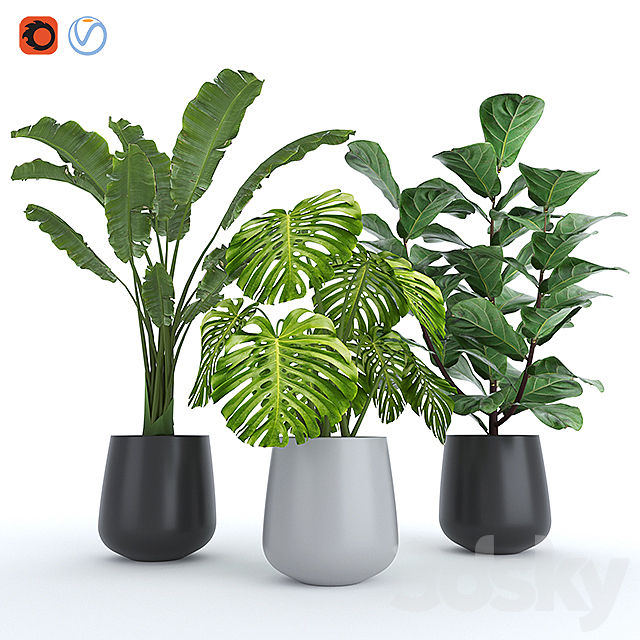 Plant Set 4 3ds Max - thumbnail 1