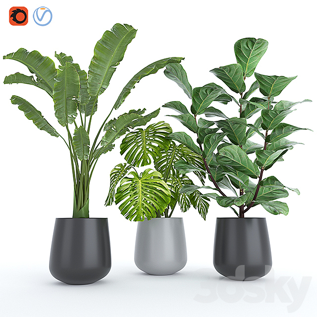 Plant Set 4 3ds Max - thumbnail 2