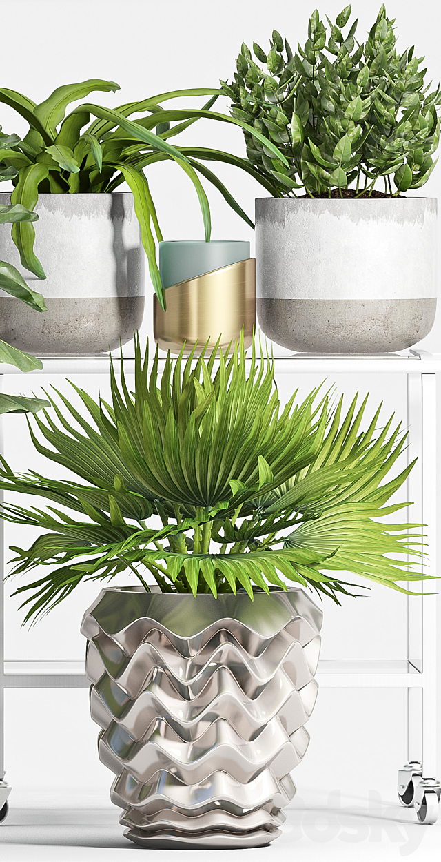 PLANT SET -59 3DSMax File - thumbnail 3