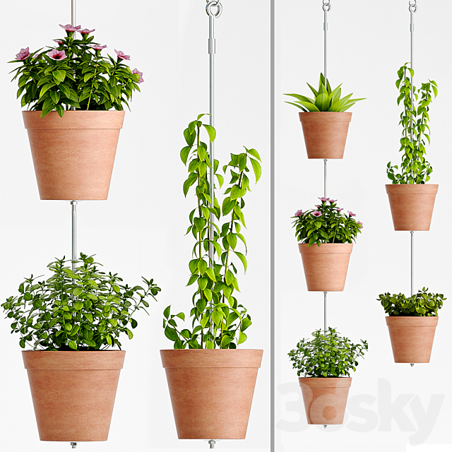 PLANT SET -60 3DSMax File - thumbnail 1