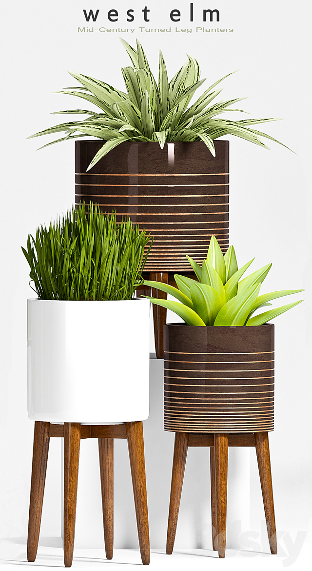 PLANT SET -61 3DSMax File - thumbnail 3