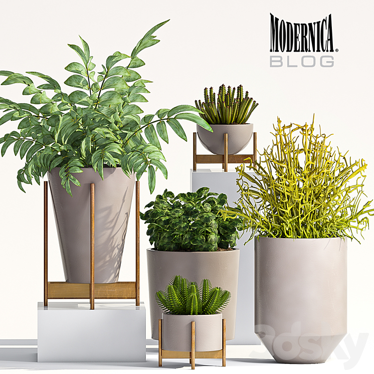 PLANT SET – 66 3DS Max - thumbnail 1