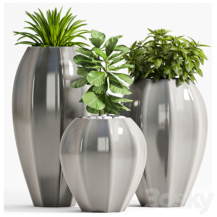 PLANT SET – 70 3DS Max - thumbnail 1