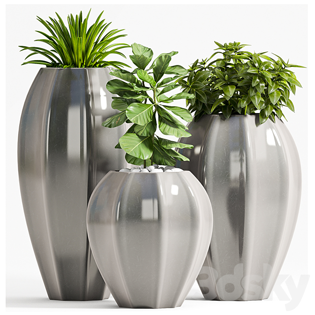 PLANT SET – 70 3DSMax File - thumbnail 1