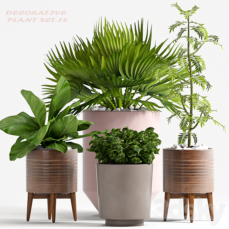 PLANT SET – 78 3DS Max - thumbnail 1