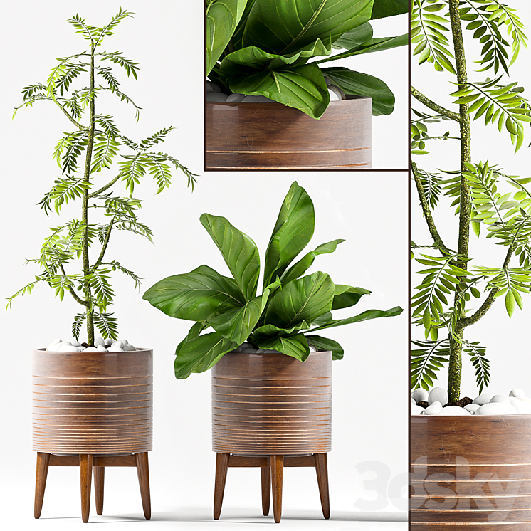 PLANT SET – 78 3DS Max - thumbnail 2