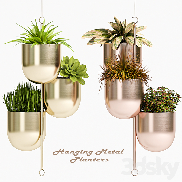 PLANT SET -79 3DS Max - thumbnail 1