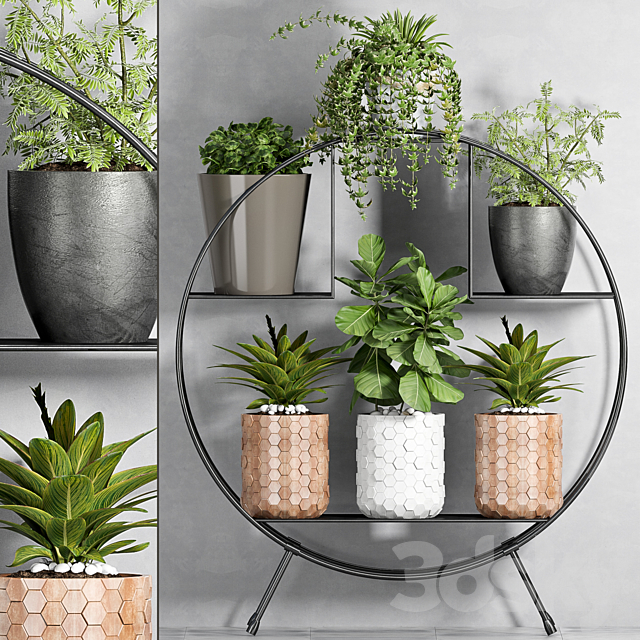 PLANT SET -87 3DSMax File - thumbnail 1