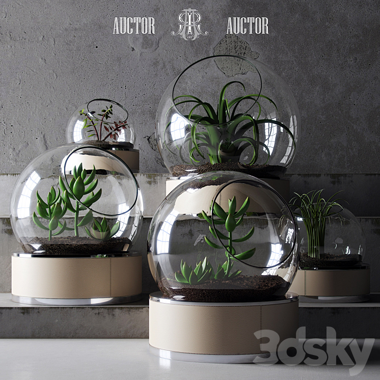 plant set ART Auctor 3DS Max - thumbnail 1