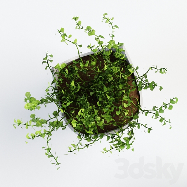 Plant with cat vases 3DS Max Model - thumbnail 3