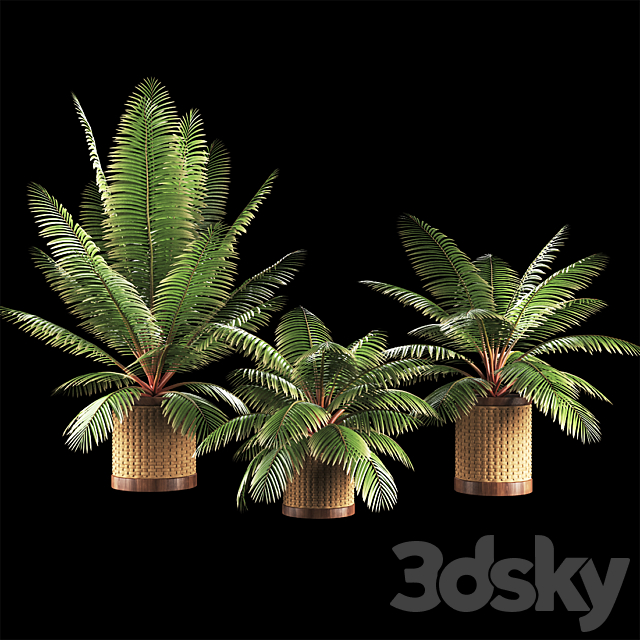 plant1210 3DSMax File - thumbnail 1