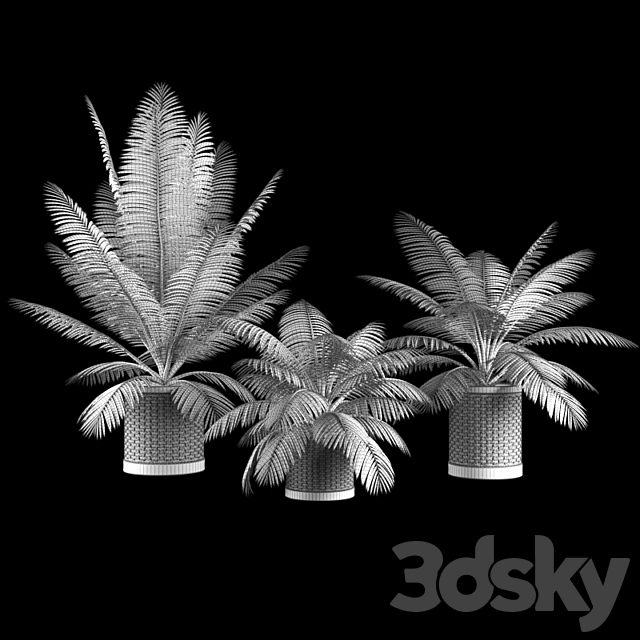 plant1210 3DSMax File - thumbnail 3